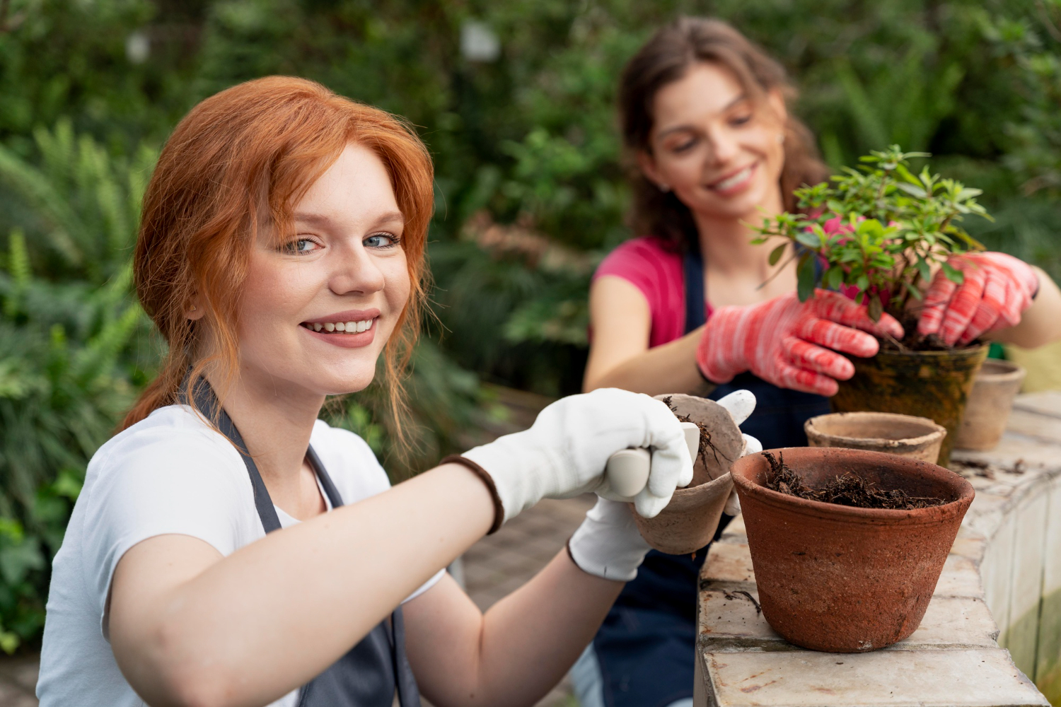 Grow Your Garden with Confidence – Discover Thompson & Morgan